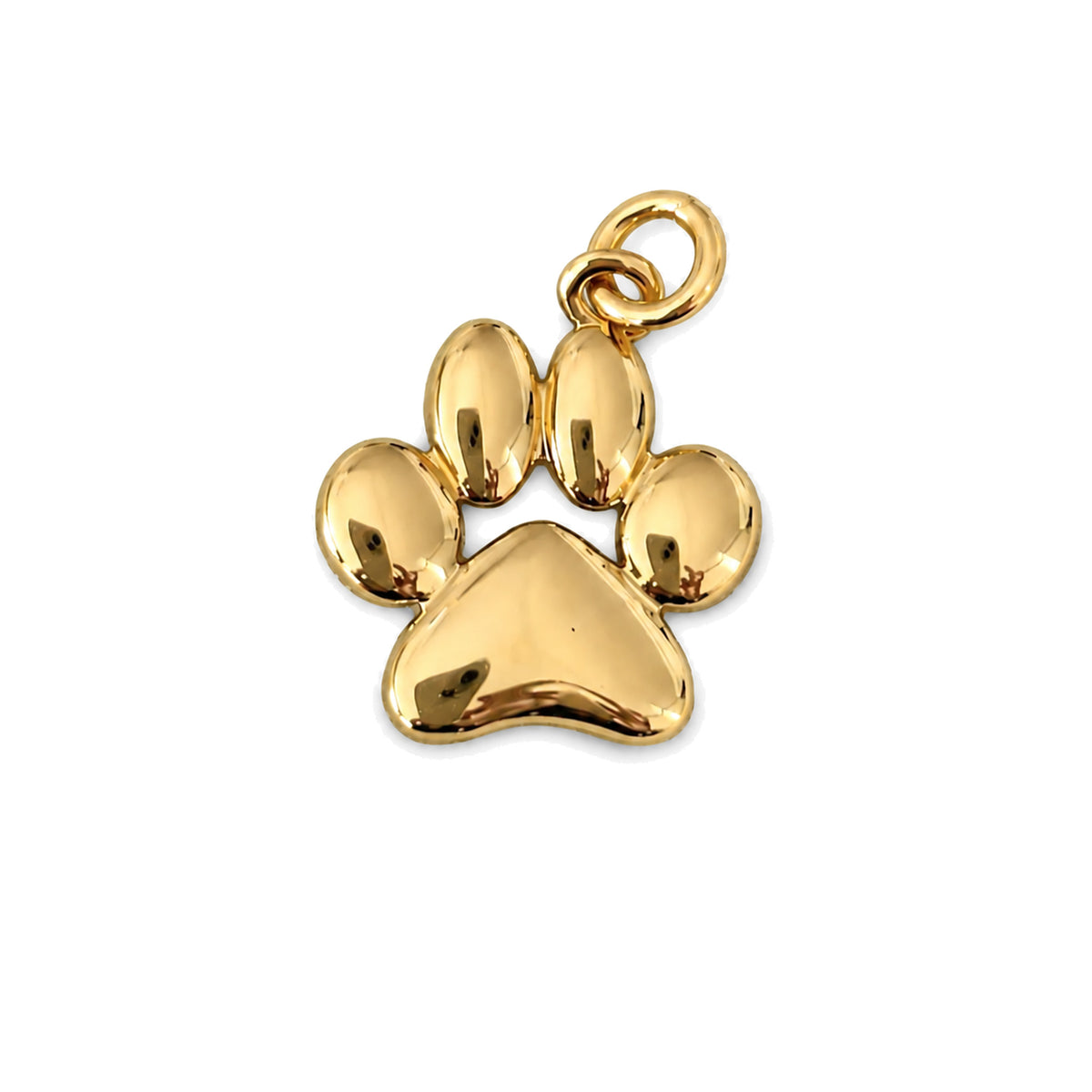 Paw Charm · 14K Gold Filled