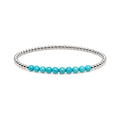 DECEMBER Turquoise Birthstone Bracelet · Sterling Silver